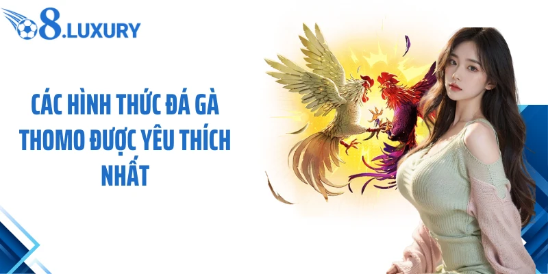 Đá Gà Thomo O8 - Trải Nghiệm Cá Cược Hấp Dẫn Đỉnh Cao 3 Các hình thức đá gà Thomo được yêu thích nhất