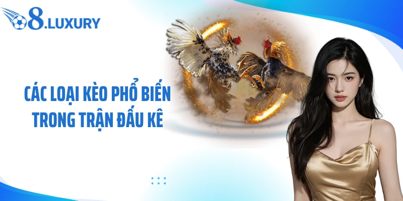 Đá Gà Tre - Hình Thức Cá Cược Đấu Kê Đầy Hấp Dẫn Cùng O8 3 Các loại kèo phổ biến trong trận đấu kê